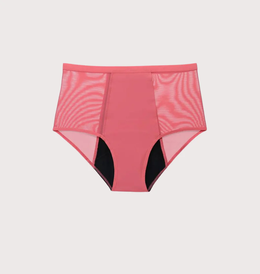 Lace Brief - Image 6